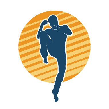 Doğu dövüş sanatı pozu veren bir adamın silueti. Dövüş sanatlarında bir erkeğin silueti..