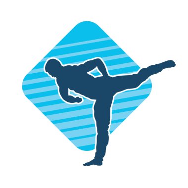 Dövüş sanatları pozu veren bir erkeğin silueti. Dövüş sanatları ustasının silueti tekme atma pozu veriyor..