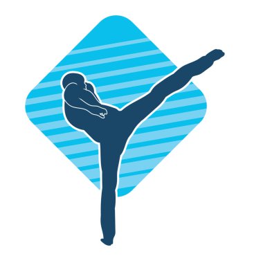 Dövüş sanatları pozu veren bir erkeğin silueti. Dövüş sanatları ustasının silueti tekme atma pozu veriyor..