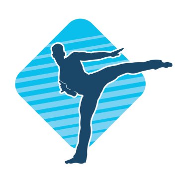 Dövüş sanatları pozu veren bir erkeğin silueti. Dövüş sanatları ustasının silueti tekme atma pozu veriyor..