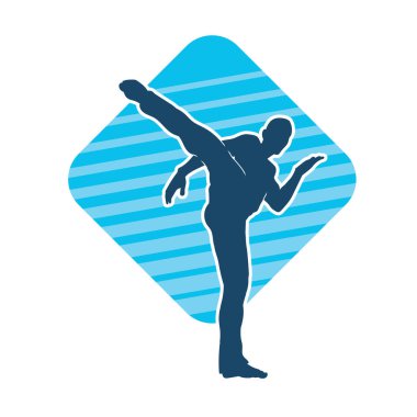 Dövüş sanatları pozu veren bir erkeğin silueti. Dövüş sanatları ustasının silueti tekme atma pozu veriyor..