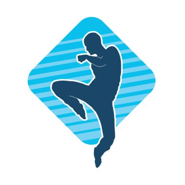 Doğu dövüş sanatı pozu veren bir adamın silueti. Dövüş sanatlarında bir erkeğin silueti..