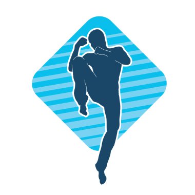 Doğu dövüş sanatı pozu veren bir adamın silueti. Dövüş sanatlarında bir erkeğin silueti..