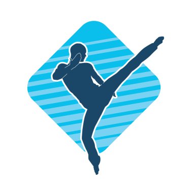 Dövüş sanatları pozu veren bir erkeğin silueti. Dövüş sanatları ustasının silueti tekme atma pozu veriyor..