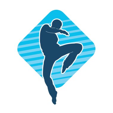 Doğu dövüş sanatı pozu veren bir adamın silueti. Dövüş sanatlarında bir erkeğin silueti..