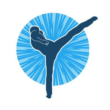 Dövüş sanatları pozu veren bir erkeğin silueti. Dövüş sanatları ustasının silueti tekme atma pozu veriyor..