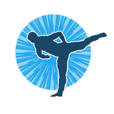 Dövüş sanatları pozu veren bir erkeğin silueti. Dövüş sanatları ustasının silueti tekme atma pozu veriyor..