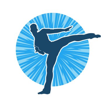 Dövüş sanatları pozu veren bir erkeğin silueti. Dövüş sanatları ustasının silueti tekme atma pozu veriyor..