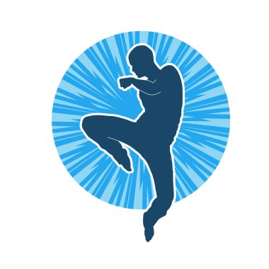 Doğu dövüş sanatı pozu veren bir adamın silueti. Dövüş sanatlarında bir erkeğin silueti..