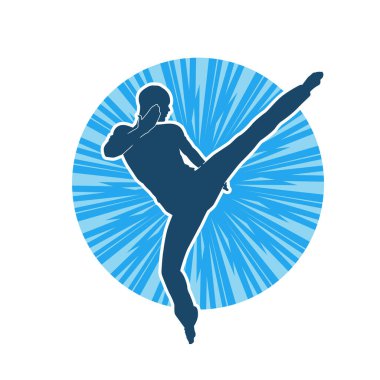 Dövüş sanatları pozu veren bir erkeğin silueti. Dövüş sanatları ustasının silueti tekme atma pozu veriyor..