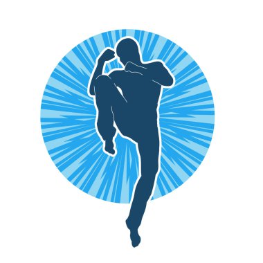 Doğu dövüş sanatı pozu veren bir adamın silueti. Dövüş sanatlarında bir erkeğin silueti..