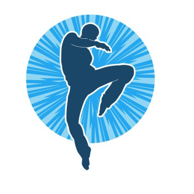 Doğu dövüş sanatı pozu veren bir adamın silueti. Dövüş sanatlarında bir erkeğin silueti..