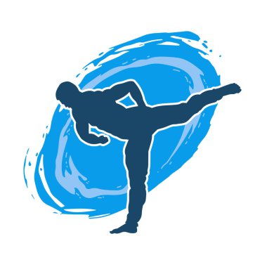 Dövüş sanatları pozu veren bir erkeğin silueti. Dövüş sanatları ustasının silueti tekme atma pozu veriyor..