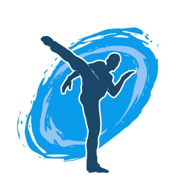 Dövüş sanatları pozu veren bir erkeğin silueti. Dövüş sanatları ustasının silueti tekme atma pozu veriyor..