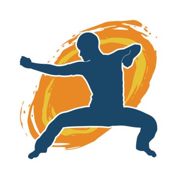 Doğu dövüş sanatı pozu veren bir adamın silueti. Dövüş sanatlarında bir erkeğin silueti..