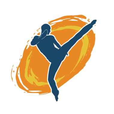 Dövüş sanatları pozu veren bir erkeğin silueti. Dövüş sanatları ustasının silueti tekme atma pozu veriyor..