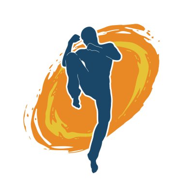 Dövüş sanatları pozu veren bir erkeğin silueti. Dövüş sanatları ustasının silueti tekme atma pozu veriyor..