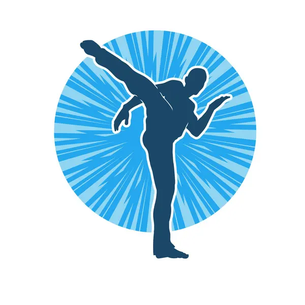 Dövüş sanatları pozu veren bir erkeğin silueti. Dövüş sanatları ustasının silueti tekme atma pozu veriyor..