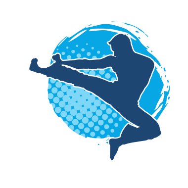 Dövüş sanatları pozu veren bir erkeğin silueti. Dövüş sanatları ustasının silueti tekme atma pozu veriyor..