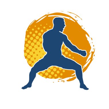 Doğu dövüş sanatı pozu veren bir adamın silueti. Dövüş sanatlarında bir erkeğin silueti..