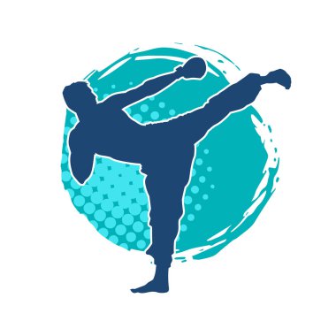 Dövüş sanatları pozu veren bir erkeğin silueti. Dövüş sanatları ustasının silueti tekme atma pozu veriyor..