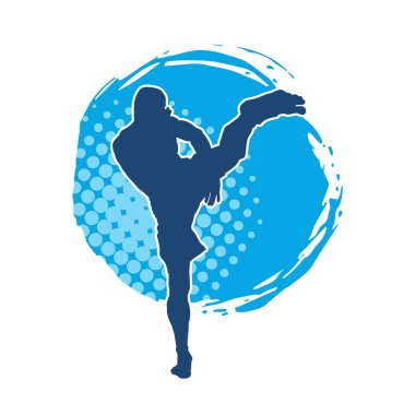 Dövüş sanatları pozu veren bir erkeğin silueti. Dövüş sanatları ustasının silueti tekme atma pozu veriyor..