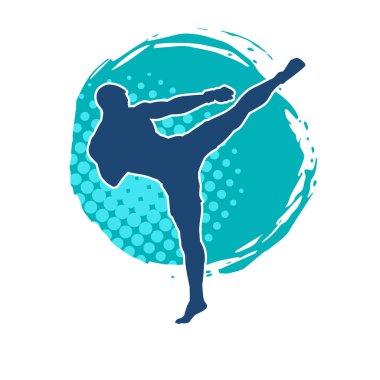 Dövüş sanatları pozu veren bir erkeğin silueti. Dövüş sanatları ustasının silueti tekme atma pozu veriyor..