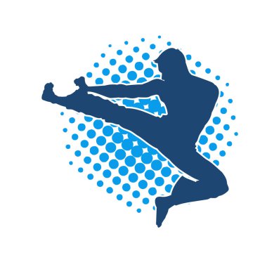 Dövüş sanatları pozu veren bir erkeğin silueti. Dövüş sanatları ustasının silueti tekme atma pozu veriyor..