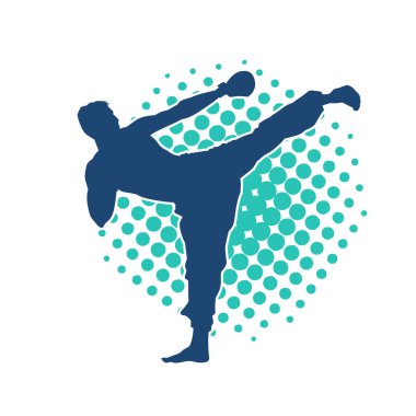 Dövüş sanatları pozu veren bir erkeğin silueti. Dövüş sanatları ustasının silueti tekme atma pozu veriyor..