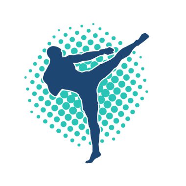 Dövüş sanatları pozu veren bir erkeğin silueti. Dövüş sanatları ustasının silueti tekme atma pozu veriyor..