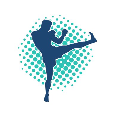 Dövüş sanatları pozu veren bir erkeğin silueti. Dövüş sanatları ustasının silueti tekme atma pozu veriyor..