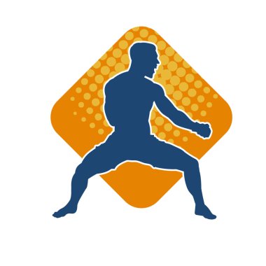 Doğu dövüş sanatı pozu veren bir adamın silueti. Dövüş sanatlarında bir erkeğin silueti..