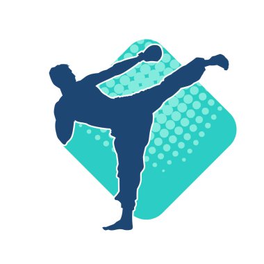 Dövüş sanatları pozu veren bir erkeğin silueti. Dövüş sanatları ustasının silueti tekme atma pozu veriyor..