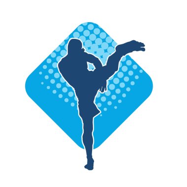 Dövüş sanatları pozu veren bir erkeğin silueti. Dövüş sanatları ustasının silueti tekme atma pozu veriyor..