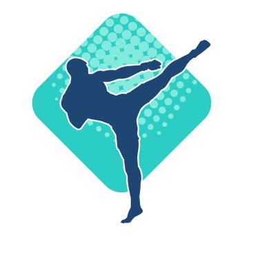 Dövüş sanatları pozu veren bir erkeğin silueti. Dövüş sanatları ustasının silueti tekme atma pozu veriyor..