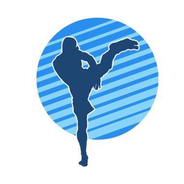 Dövüş sanatları pozu veren bir erkeğin silueti. Dövüş sanatları ustasının silueti tekme atma pozu veriyor..