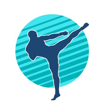 Dövüş sanatları pozu veren bir erkeğin silueti. Dövüş sanatları ustasının silueti tekme atma pozu veriyor..