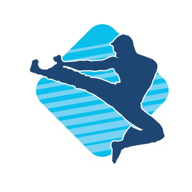 Dövüş sanatları pozu veren bir erkeğin silueti. Dövüş sanatları ustasının silueti tekme atma pozu veriyor..