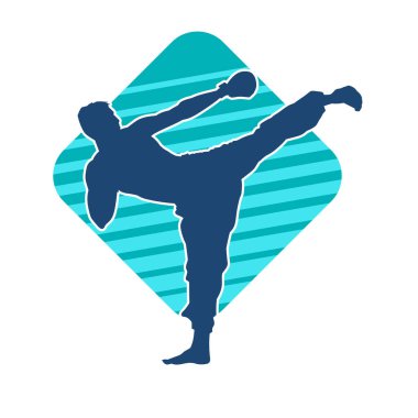 Dövüş sanatları pozu veren bir erkeğin silueti. Dövüş sanatları ustasının silueti tekme atma pozu veriyor..