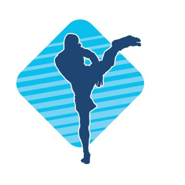 Dövüş sanatları pozu veren bir erkeğin silueti. Dövüş sanatları ustasının silueti tekme atma pozu veriyor..