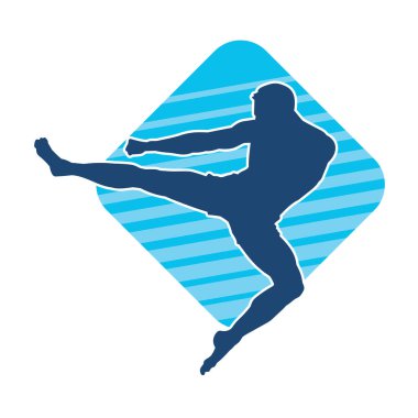 Dövüş sanatları pozu veren bir erkeğin silueti. Dövüş sanatları ustasının silueti tekme atma pozu veriyor..