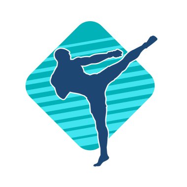 Dövüş sanatları pozu veren bir erkeğin silueti. Dövüş sanatları ustasının silueti tekme atma pozu veriyor..