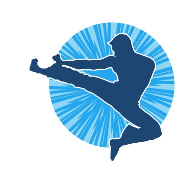 Dövüş sanatları pozu veren bir erkeğin silueti. Dövüş sanatları ustasının silueti tekme atma pozu veriyor..