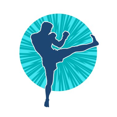 Dövüş sanatları pozu veren bir erkeğin silueti. Dövüş sanatları ustasının silueti tekme atma pozu veriyor..