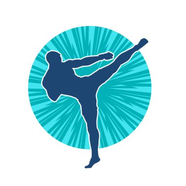 Dövüş sanatları pozu veren bir erkeğin silueti. Dövüş sanatları ustasının silueti tekme atma pozu veriyor..