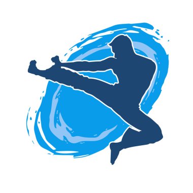 Dövüş sanatları pozu veren bir erkeğin silueti. Dövüş sanatları ustasının silueti tekme atma pozu veriyor..