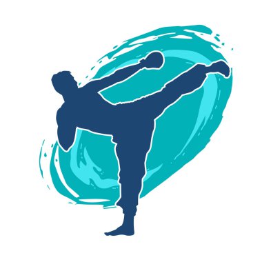 Dövüş sanatları pozu veren bir erkeğin silueti. Dövüş sanatları ustasının silueti tekme atma pozu veriyor..