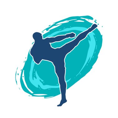 Dövüş sanatları pozu veren bir erkeğin silueti. Dövüş sanatları ustasının silueti tekme atma pozu veriyor..