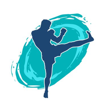 Dövüş sanatları pozu veren bir erkeğin silueti. Dövüş sanatları ustasının silueti tekme atma pozu veriyor..