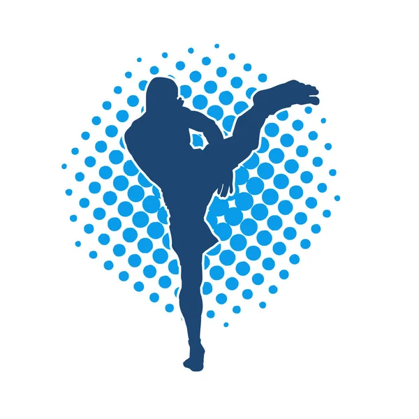 Dövüş sanatları pozu veren bir erkeğin silueti. Dövüş sanatları ustasının silueti tekme atma pozu veriyor..